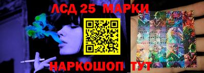 амф Гатчина