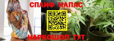 крисы Будённовск