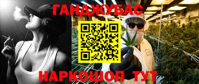 амф Гатчина