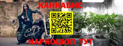 крисы Будённовск