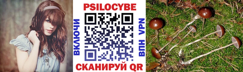 mega   Екатеринбург  Галлюциногенные грибы MAGIC MUSHROOMS  магазин  наркотиков 