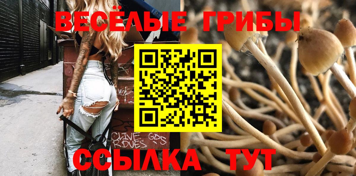 Галлюциногенные грибы Psilocybine cubensis Екатеринбург