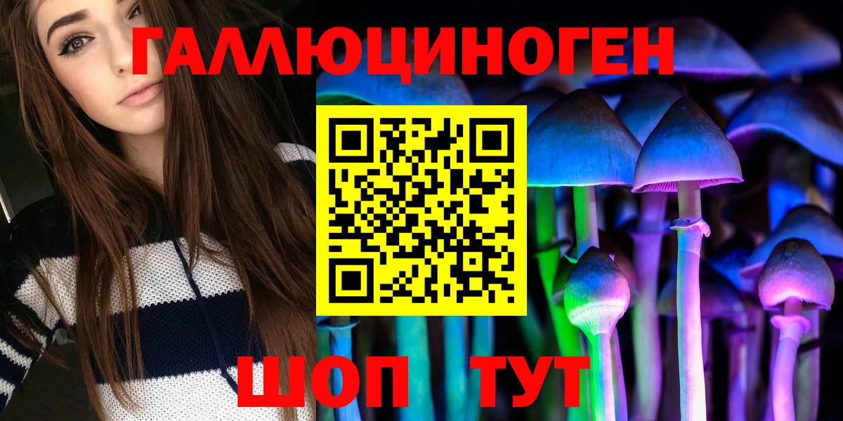 Псилоцибиновые грибы GOLDEN TEACHER  Галлюциногенные грибы Magic Shrooms  что такое   Вход с VPN  Екатеринбург 