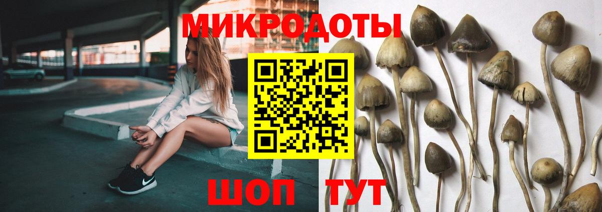 Псилоцибиновые грибы Cubensis Екатеринбург